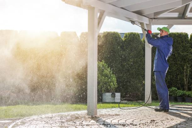 Solar Panel Cleaning in Willow Grove, TX