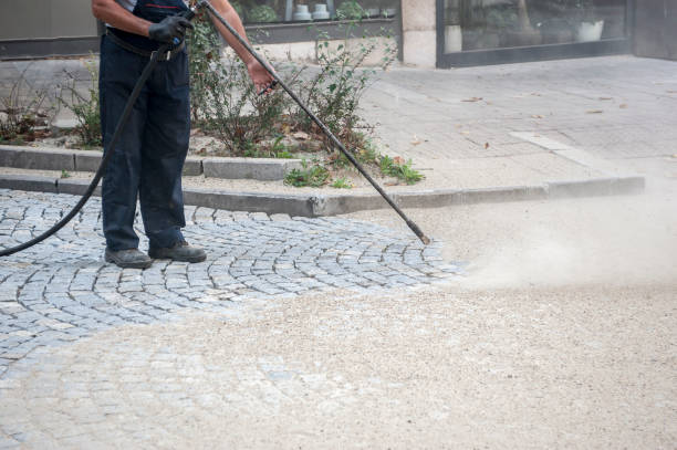 Best Restaurant Pressure Washing  in Willow Grove, TX